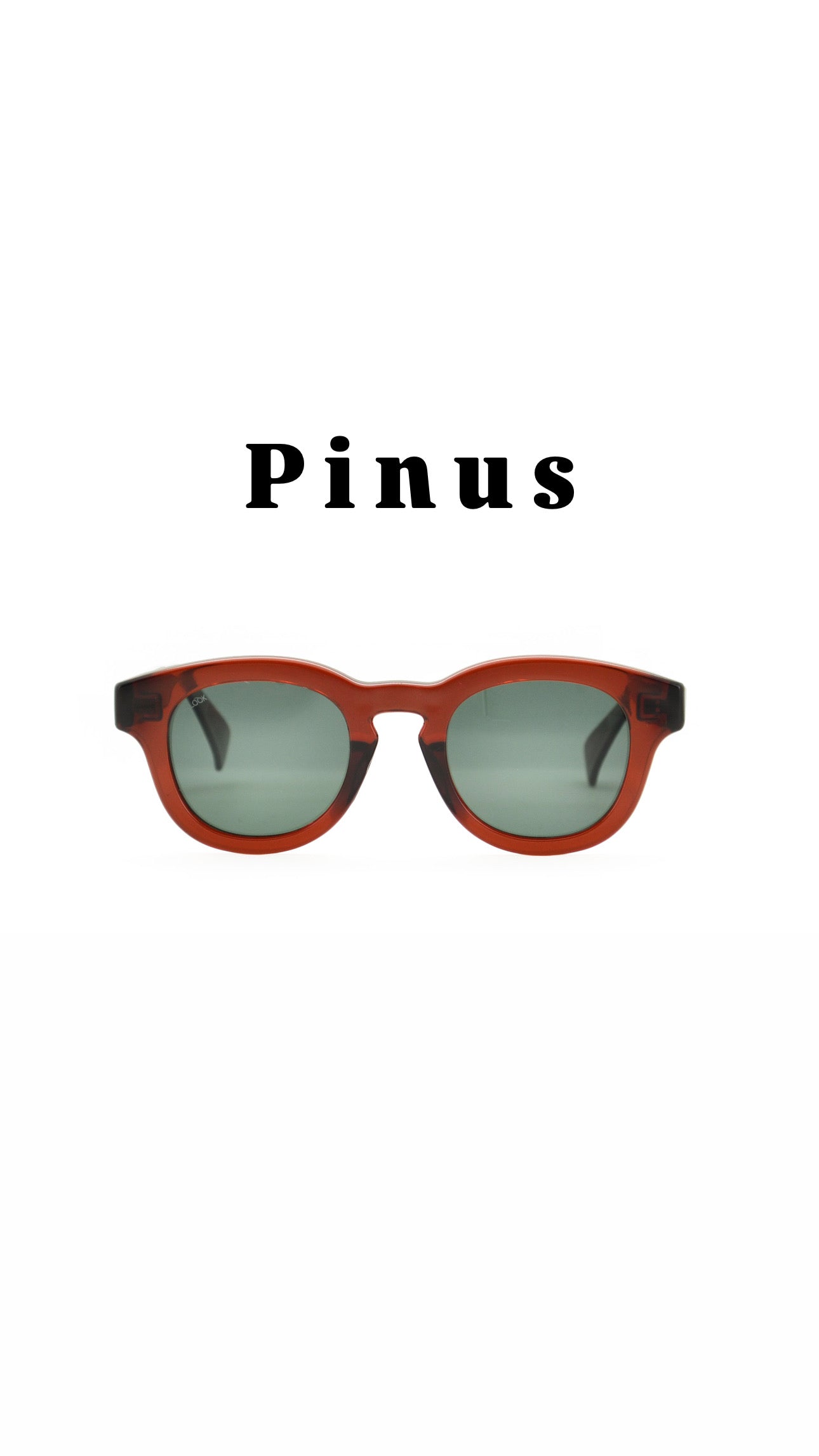 Pinus