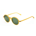 Leon Matte Daisy — نظارات Looklight — دايزي مطفي Aviator