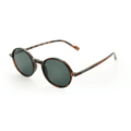 Leon Matte Chocolate — نظارات Looklight — بني مطفي Aviator