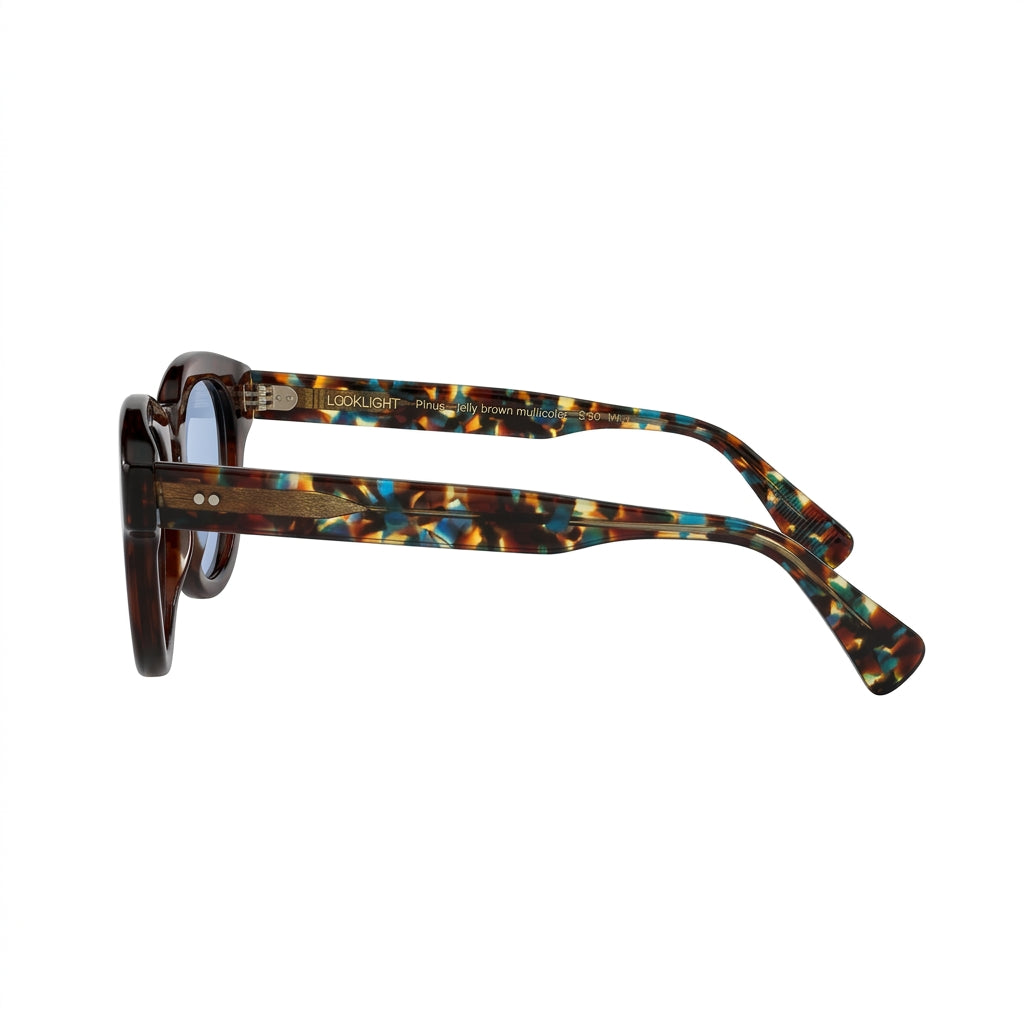 Pinus Jelly Brown Multicolor - Side Temple View - Looklight Sunglasses Bio Acetate rectangular frame